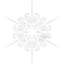 snowflake 11