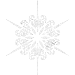 snowflake 11 icon