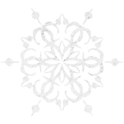 snowflake 13 icon