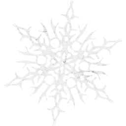 snowflake 14 icon