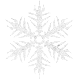 snowflake 16 icon