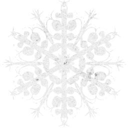 snowflake 2 icon