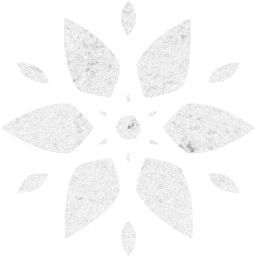 snowflake 23 icon