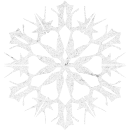 snowflake 27 icon