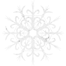 snowflake 28 icon
