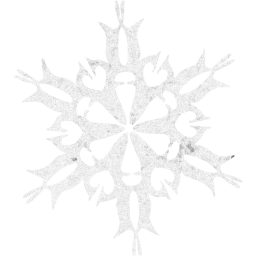 snowflake 30 icon