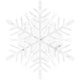 snowflake 37 icon