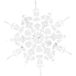 snowflake 40 icon