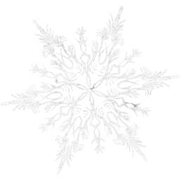 snowflake 41 icon