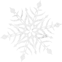 snowflake 47 icon