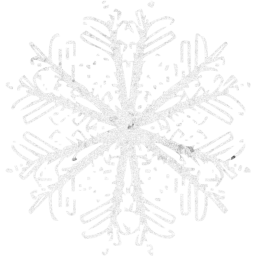 snowflake 49 icon