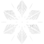 snowflake 5