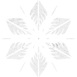 snowflake 5 icon