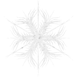 snowflake 53 icon