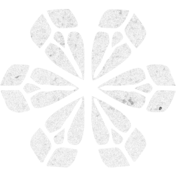 snowflake 9 icon