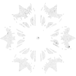 snowflake icon