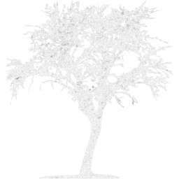 tree 10 icon