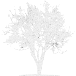tree 21 icon