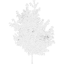 tree 25