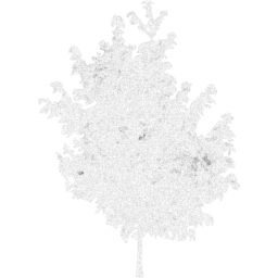 tree 25 icon