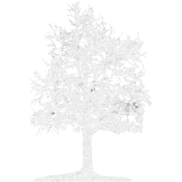 tree 26 icon