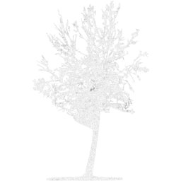 tree 27 icon