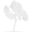 tree 33