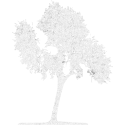 tree 33 icon