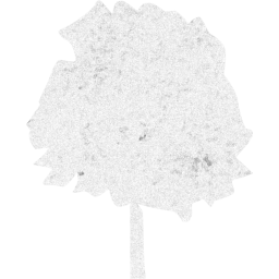tree 37 icon