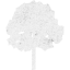 tree 4