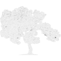 tree 57 icon