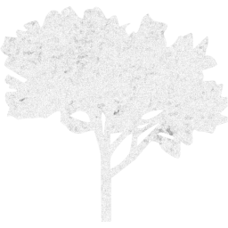 tree 60 icon