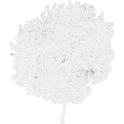 tree 61 icon