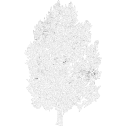 tree 76 icon