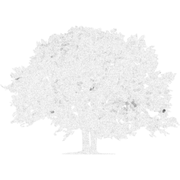 tree 78 icon