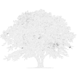 tree 9 icon