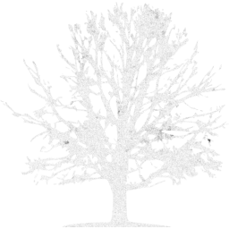 tree icon