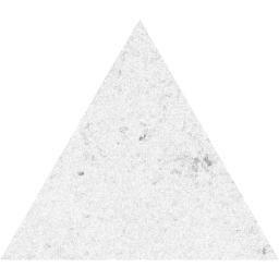 triangle icon