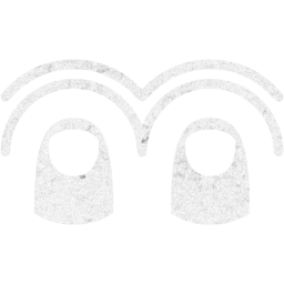 two finger double tap icon
