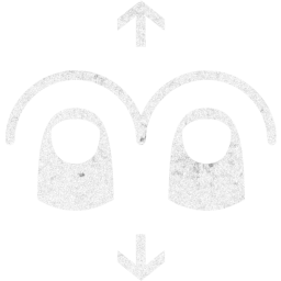 two finger vertical swipe icon