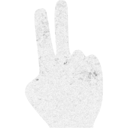 two fingers icon