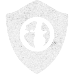 web shield icon
