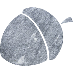 acorn 7 icon