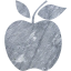 apple 2
