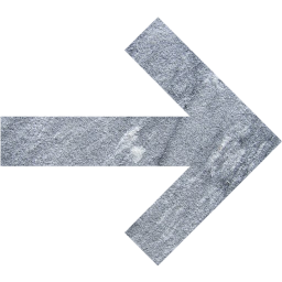 arrow 20 icon