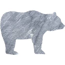 bear 4 icon