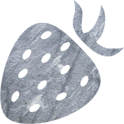 berry icon