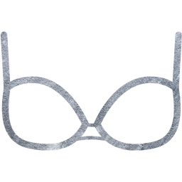 bra 2 icon