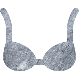 bra icon