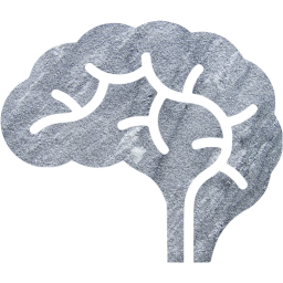 brain icon